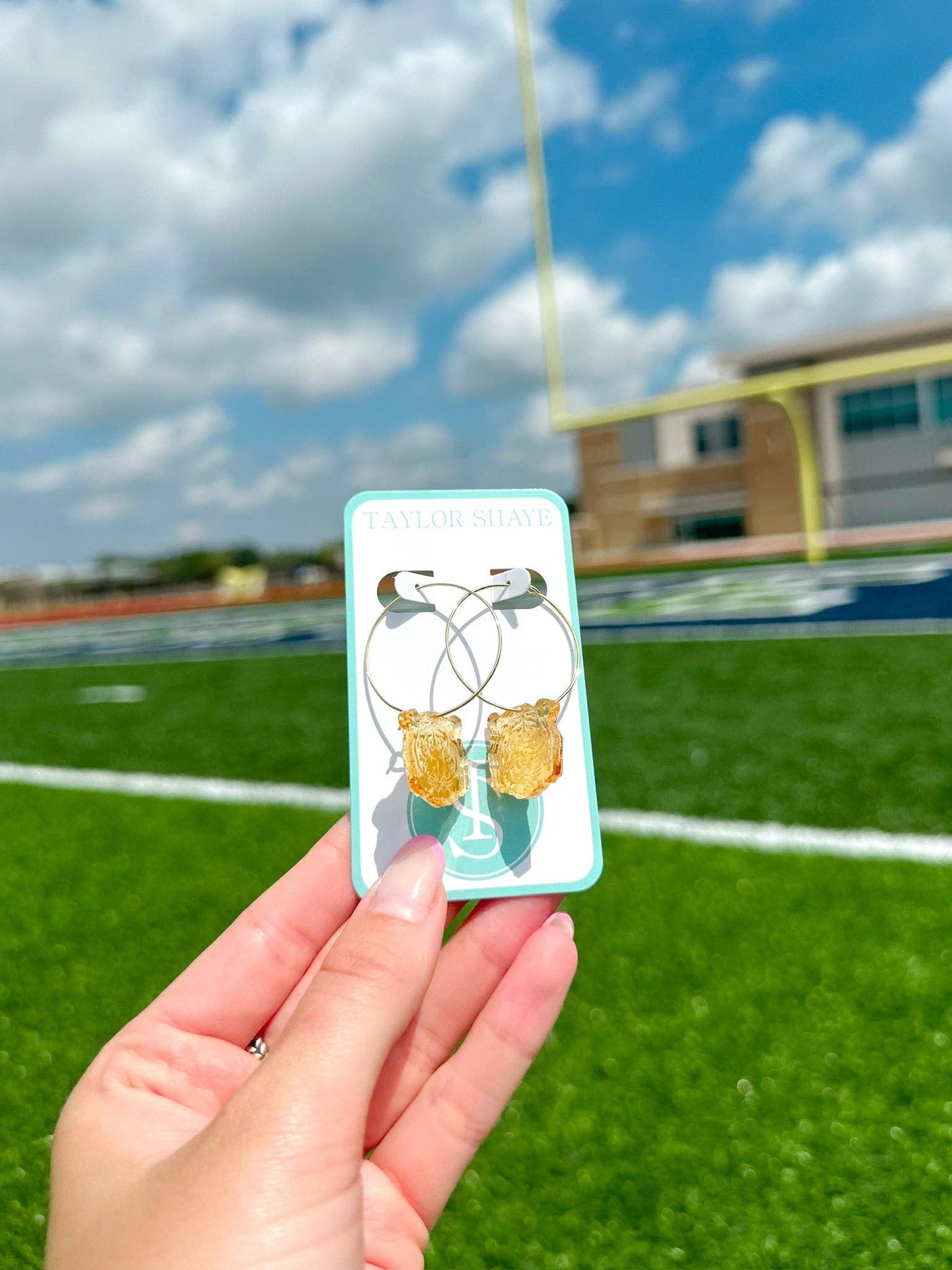Tiger Head Hoops