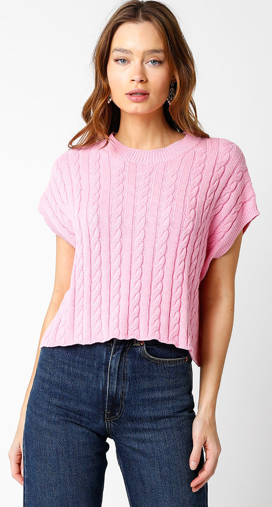 Bubble Gum Pink Short Sleeve Knit Top