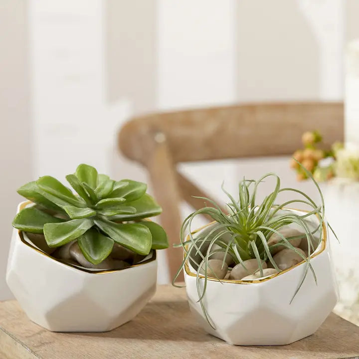 Gold Trim Ceramic Planter Bowl Set (2)