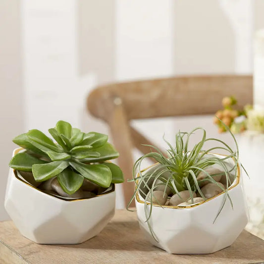 Gold Trim Ceramic Planter Bowl Set (2)