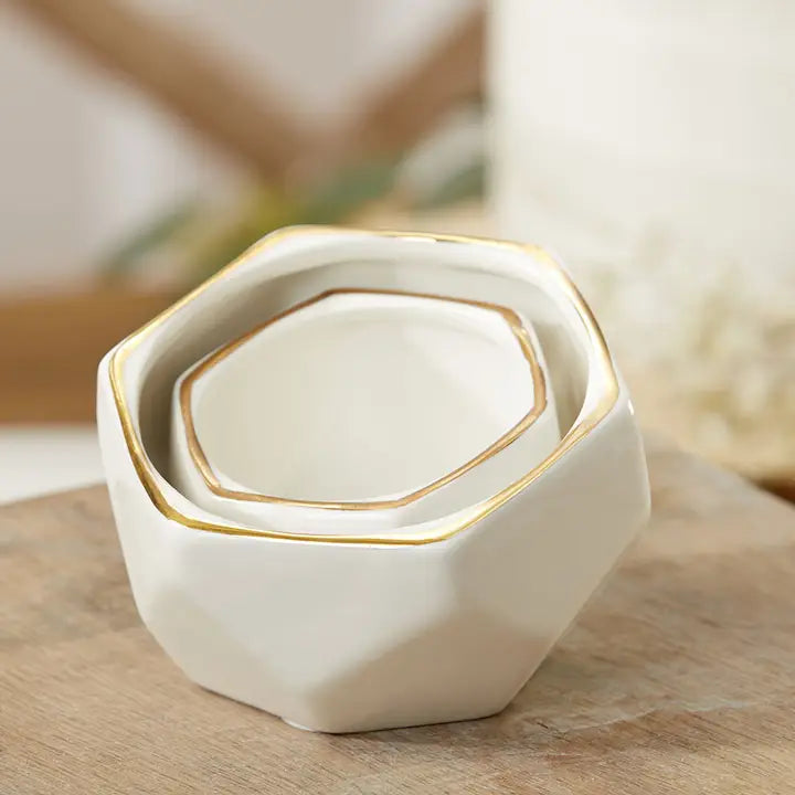 Gold Trim Ceramic Planter Bowl Set (2)